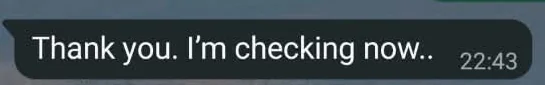 Customer thanks support during the setup check.